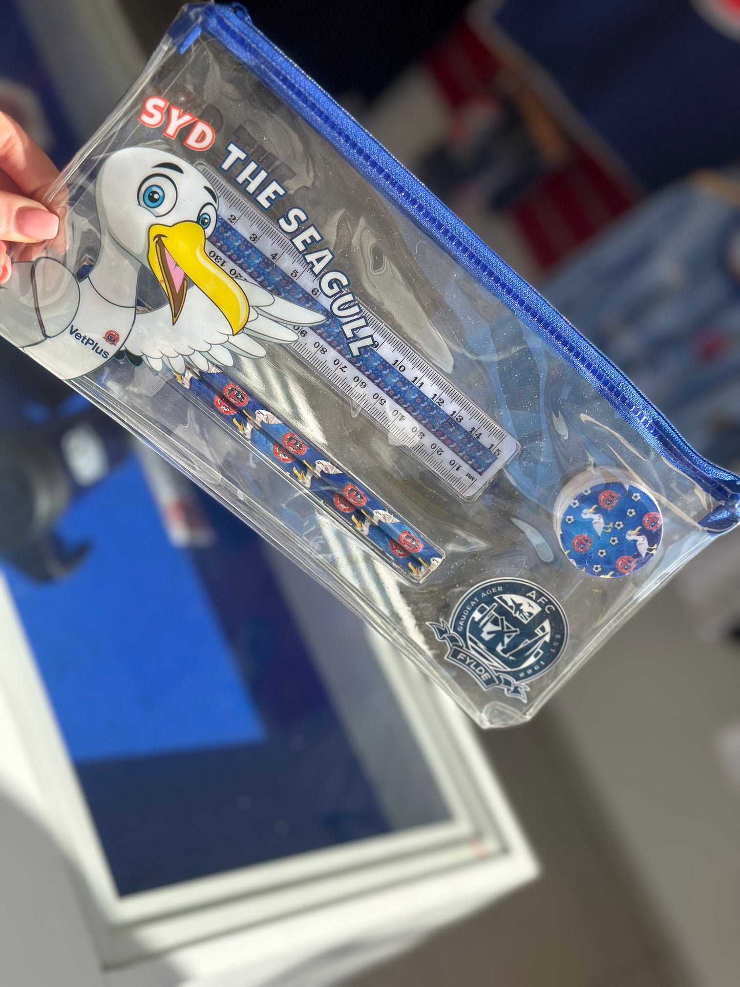 Syd the Seagull Stationary Kit
