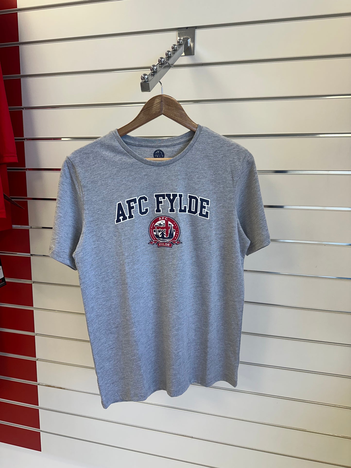 Grey Adult T-Shirt
