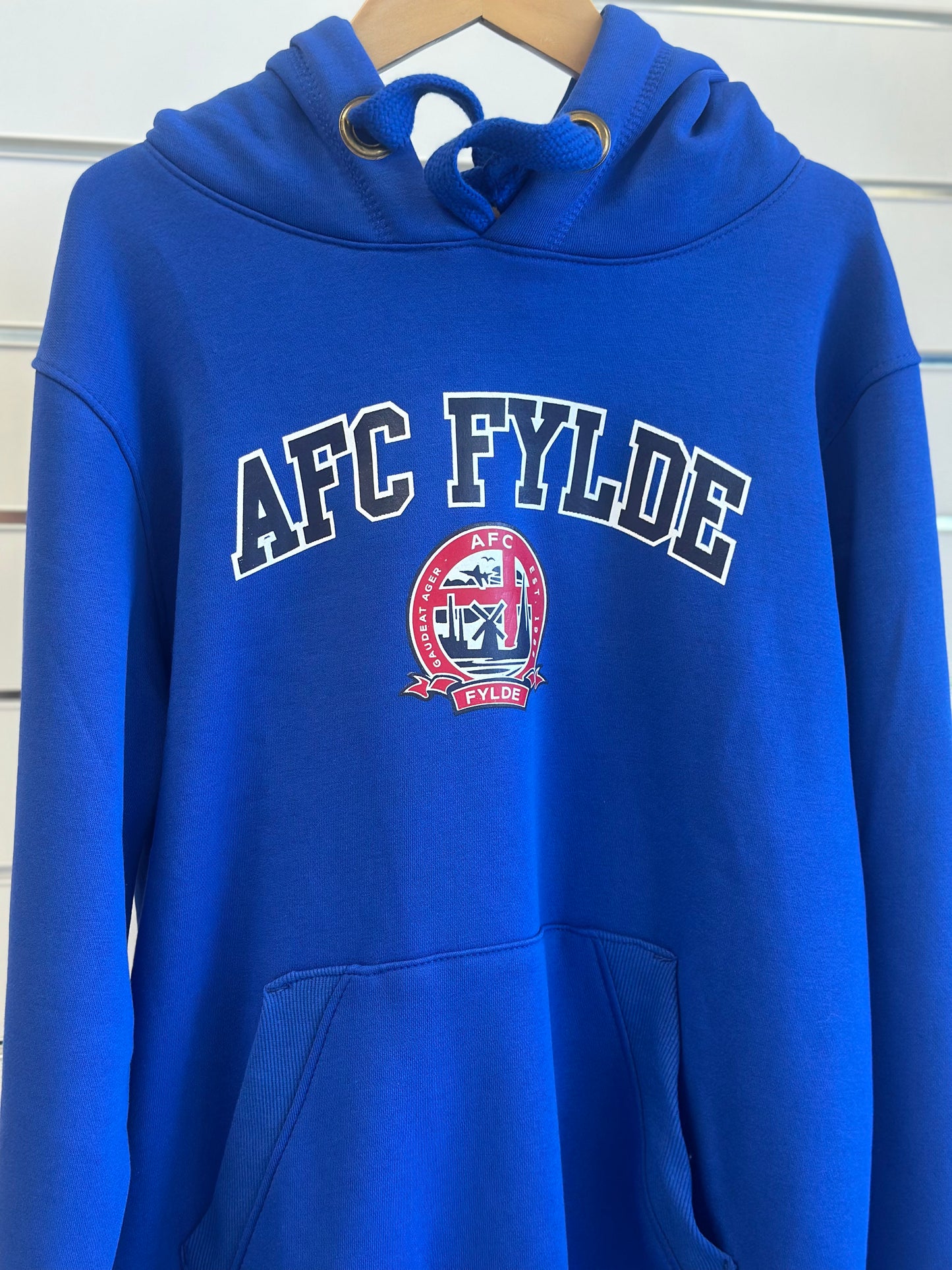 Royal Blue Adult hoody